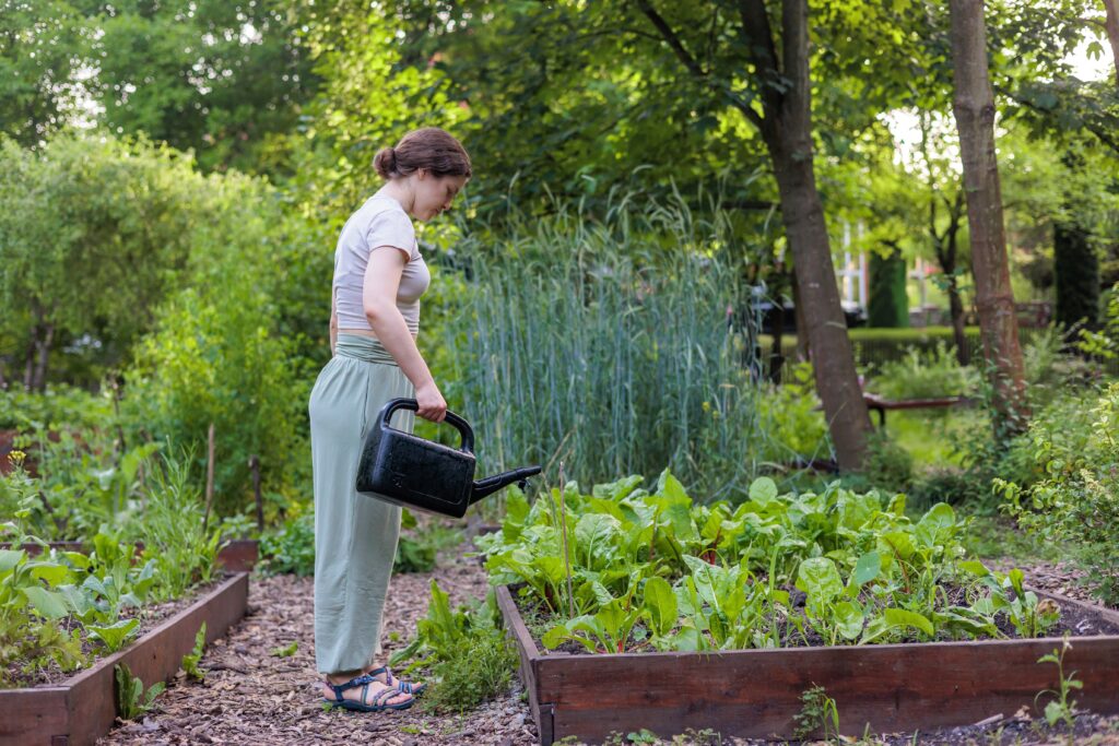 Young woman watering vegetables in raised garden bed using watering can. Sustainable gardening, healthy living, eco-friendly backyard, slow life and organic food concept. Copyspace