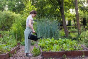 Young woman watering vegetables in raised garden bed using watering can. Sustainable gardening, healthy living, eco-friendly backyard, slow life and organic food concept. Copyspace
