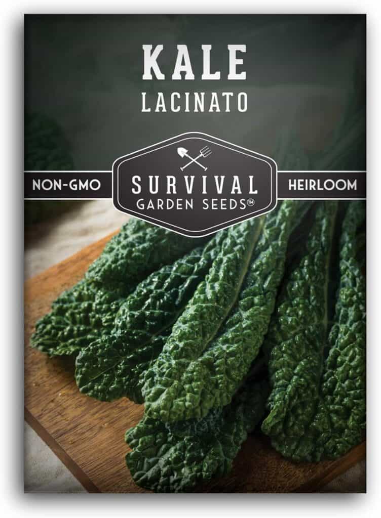 Lacinato Kale Seeds for Planting Outdoors or Indoors – Heirloom Dinosaur Tuscan Kale Variety – Cold Hardy Green for Fall & Spring Vegetable Gardens